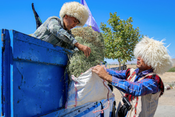 کاروان سوارکاران بجنورد در راه مشهد الرضا(ع)