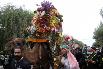 استقبال از کاروان نمادین حضرت معصومه (س) در قم 26