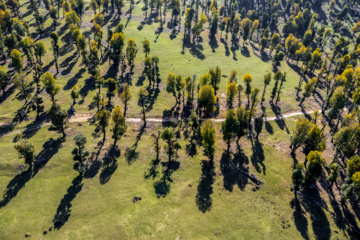 Iran: plaine de Markouh dans la province du Golestan au nord