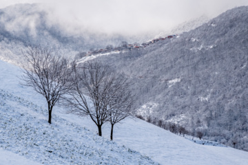 Hiver 2025: nature enneigée des hauteurs de la province de Golestan au nord de l'Iran