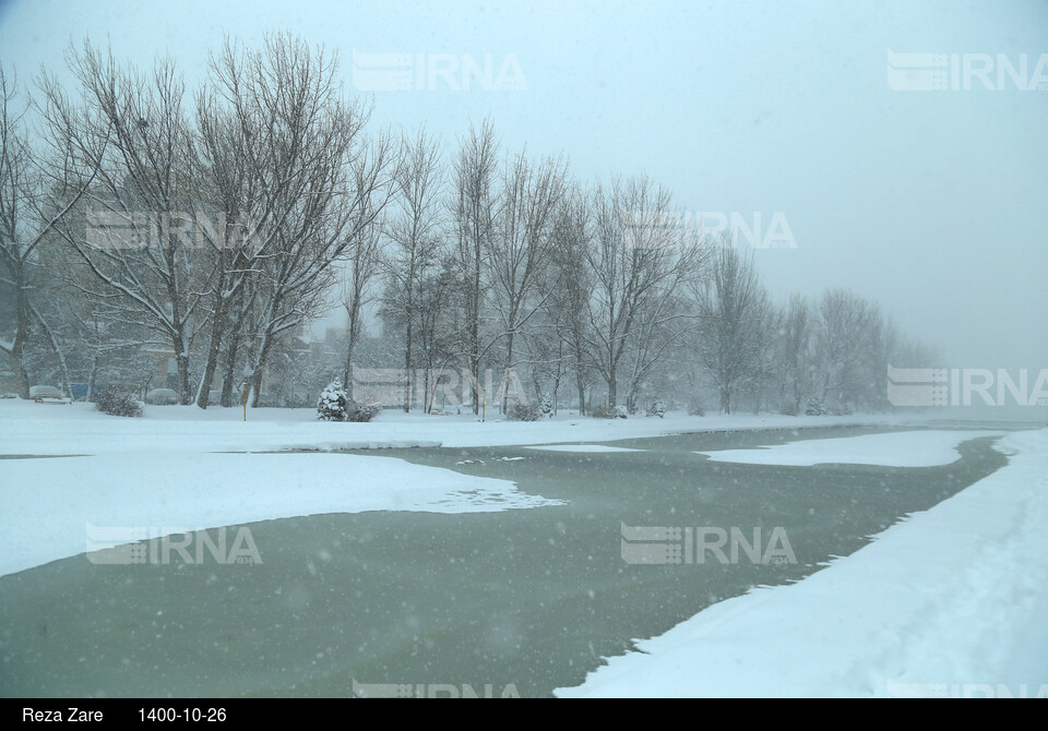 بارش برف زمستانی در اردبیل