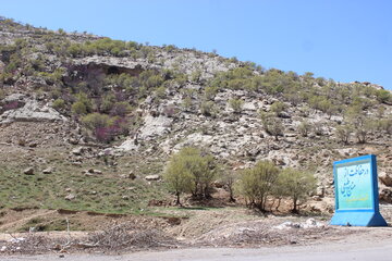 بهار زیبا در دره ارغوان