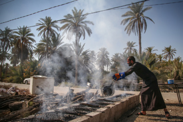 Arbaeen walk; Divaniyeh to Kufa route