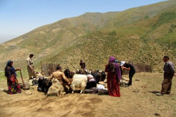 زندگی دلنشین عشایر اشنویه