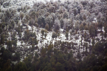 Nieve otoñal en Mazandarán