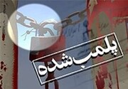 هفت واحد تجاری متخلف بازار سیرجان در به‌کارگیری اتباع غیرمجاز پلمب شد