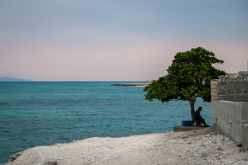 L'île de Hendourabi est une île iranienne du golfe Persique dans le sud du pays 