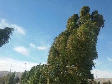 وزش باد نسبتا شدید زنجان را فرا می‌گیرد