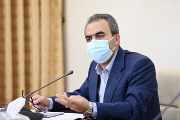 فرماندار: سه هزار خودروی دارای پلاک غیربومی در همدان تردد دارند