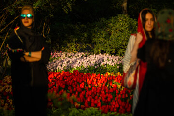 Le Jardin Iranien pour admirer les tulipes dans la capitale Téhéran