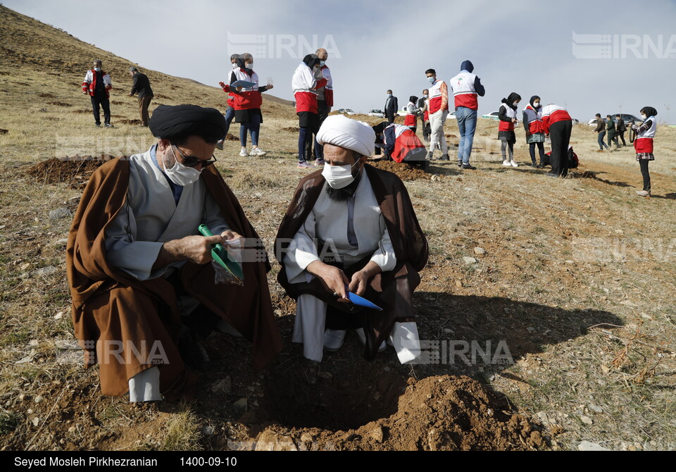 پویش مردمی بذرکاری برای احیای جنگل های زاگرس