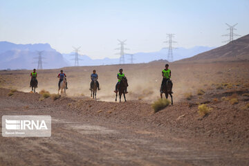 Endurance riding competition in Iran