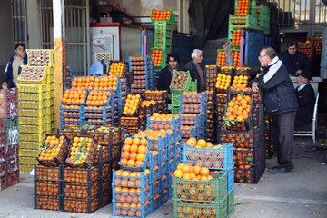 میوه شب عید استان کرمانشاه توسط ۱۵۵عامل فروشندگی توزیع می‌شود