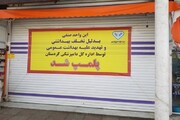 چند خبر از دامپزشکی کردستان