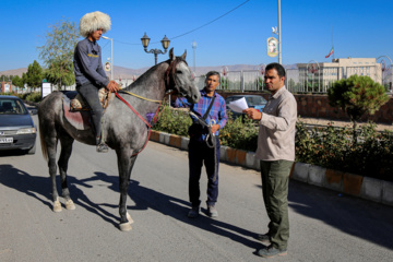 کاروان سوارکاران بجنورد در راه مشهد الرضا (ع)