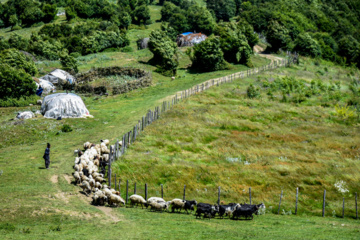 Excursión en Ardebil y Guilán