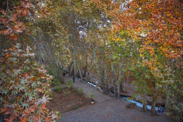 Autumn leaves in Pahlavanpur Garden