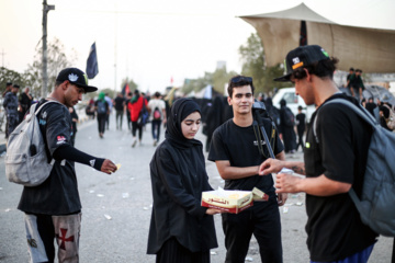 Arbaeen walk; Divaniyeh route