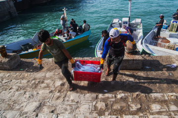 Muelle de pesca “Bandar-e Kong”