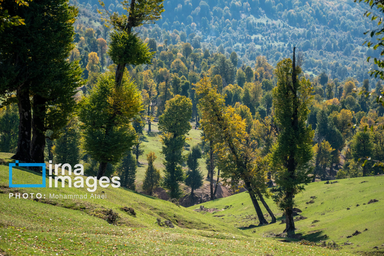 دشت مرکوه در استان گلستان