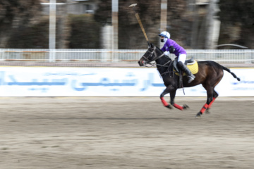 Coupe Lotus de la Ligue Nationale de polo