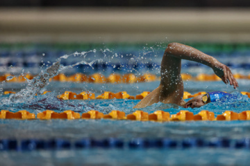 Des compétitions de natation à Téhéran 