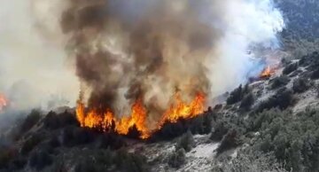 فیلم: آتش سوزی منطقه حفاظت شده جهان نمای گلستان