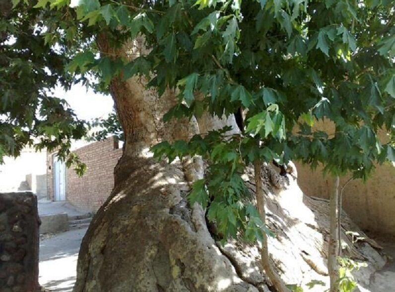 پنج اثر طبیعی خراسان شمالی ثبت ملی شد