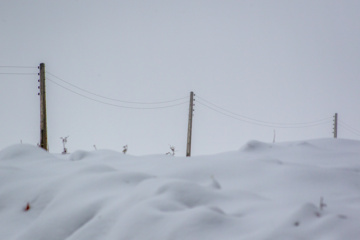 Nieve otoñal en Mazandarán