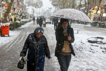 Iran-décembre 2024 : chutes de neige d’automne à Rasht au nord (Photo : Mojtaba Mohammadi)