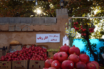 انار قصردشت شیراز