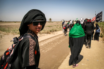 Arbaeen walk; Divaniyeh to Kufa route