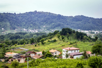 Lahijan tea