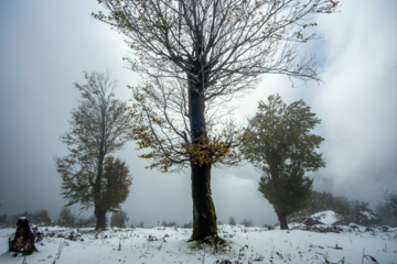 Nieve otoñal en Mazandarán