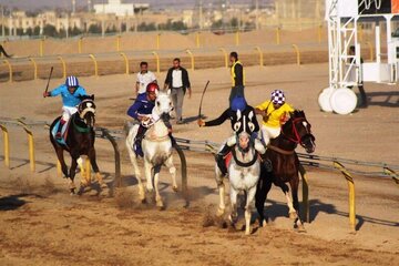 پرورش اسب و سوارکاری در استان یزد توسعه می یابد