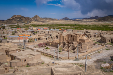 روستای افین؛ قطب زرشک بدون دانه‌ی جهان.