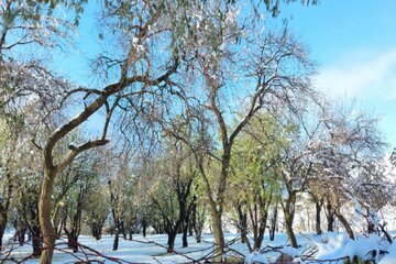 زیبایی‌های برف در مناطق روستایی میاندوآب‌