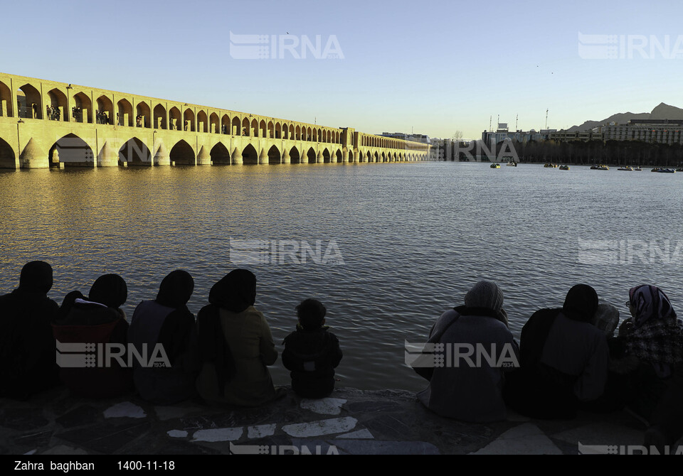 میزبانی زاینده رود از پرندگان مهاجر