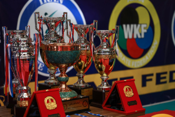 Competencias de Superliga de Karate de clubes iraníes 