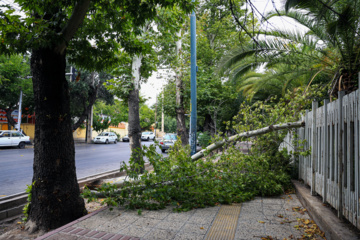 خسارت‌های طوفان در شیراز