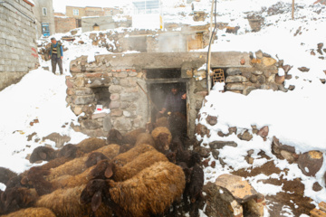 بارش برف زمستانی در روستای اسکندان اسکو