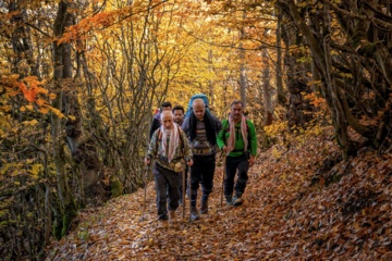 L'automne dans les forêts hyrcaniennes expose la magie de la nature dans chaque feuille. Le paysage intact et pittoresque de ces forêts en automne montre l'importance historique et la diversité végétale de ce trésor naturel iranien. 