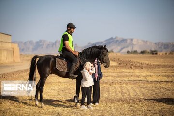 Endurance riding competition in Iran