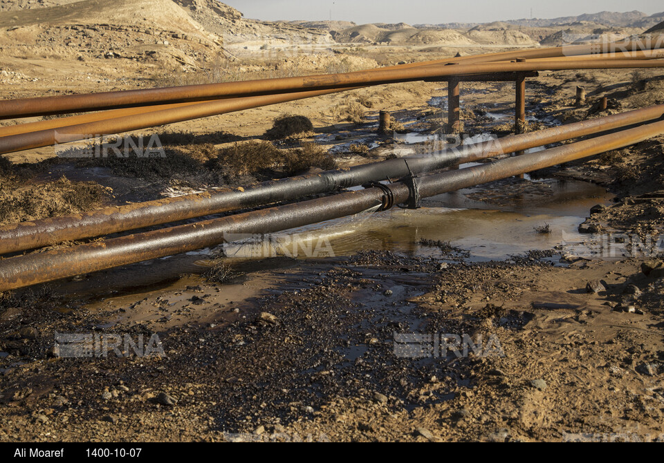 آلودگی ناشی از شکستگی در خط انتقال پساب چاه ۳۶۵ مارون در بخش غیزانیه