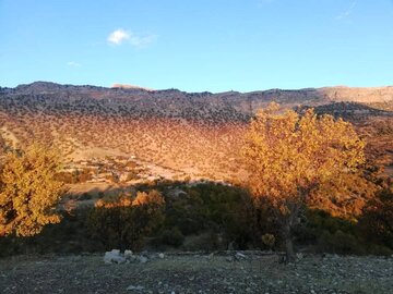 پاییز در روستای طولاب میشخاص