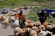 عشایر کوچ رو به هرمزگان آمدند