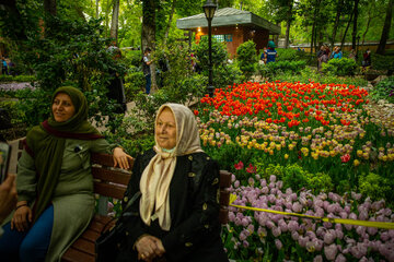 Fiesta de tulipanes en el Jardín Iraní