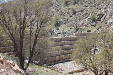 بهار زیبا در دره ارغوان