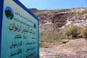 بهار در دره ارغوان ایلام