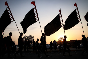 Arbaeen walk; Divaniyeh route